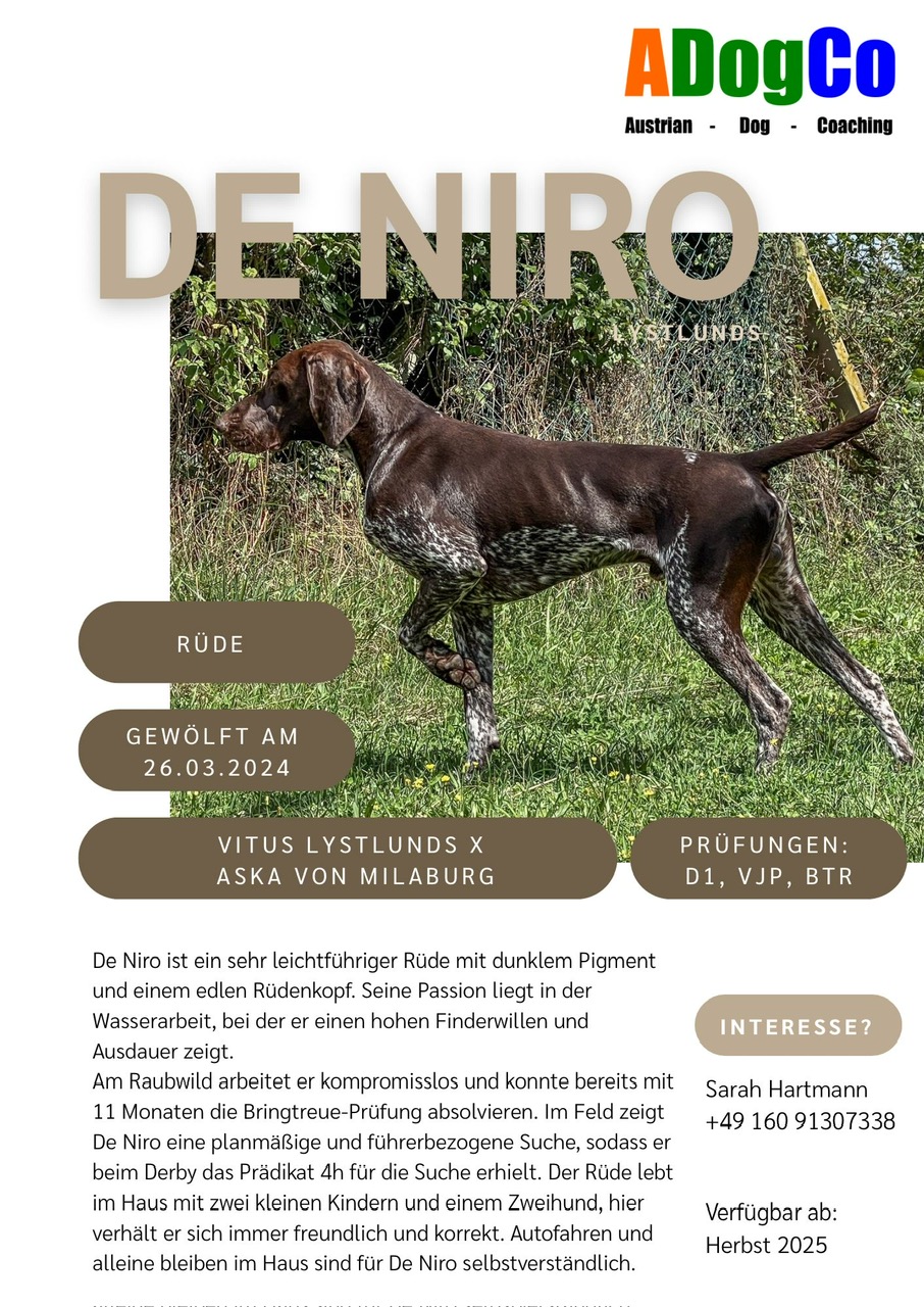 DeNiro Lystlunds