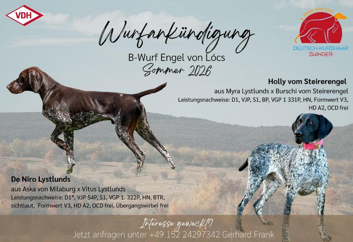 c50691de-bef6-455f-855e-8bbfec42a756