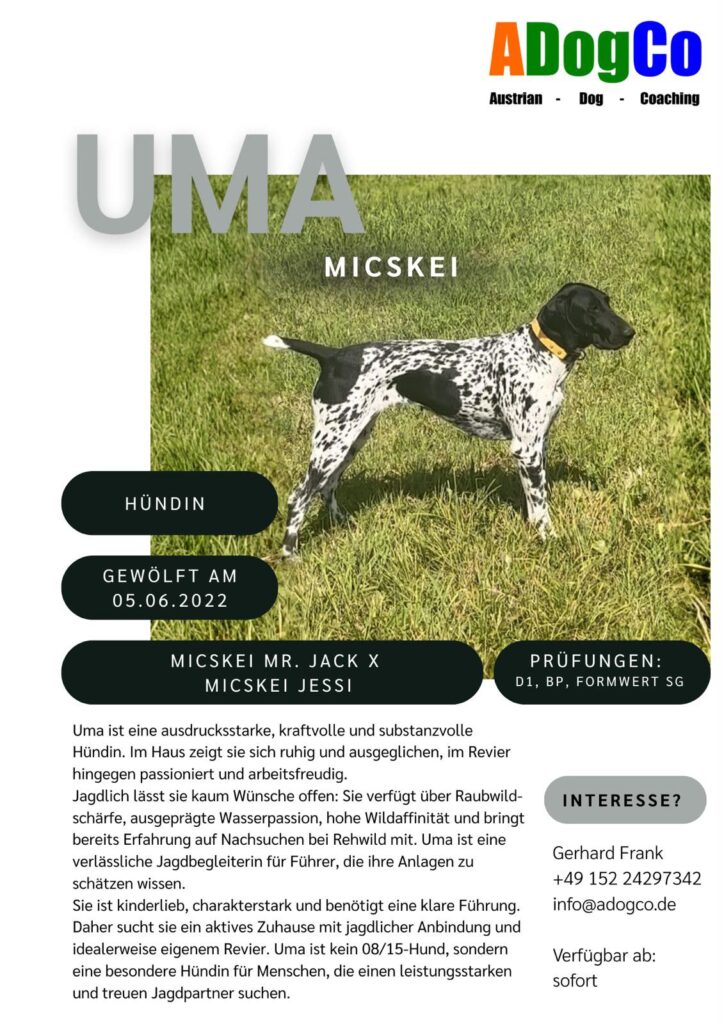 2026 Uma