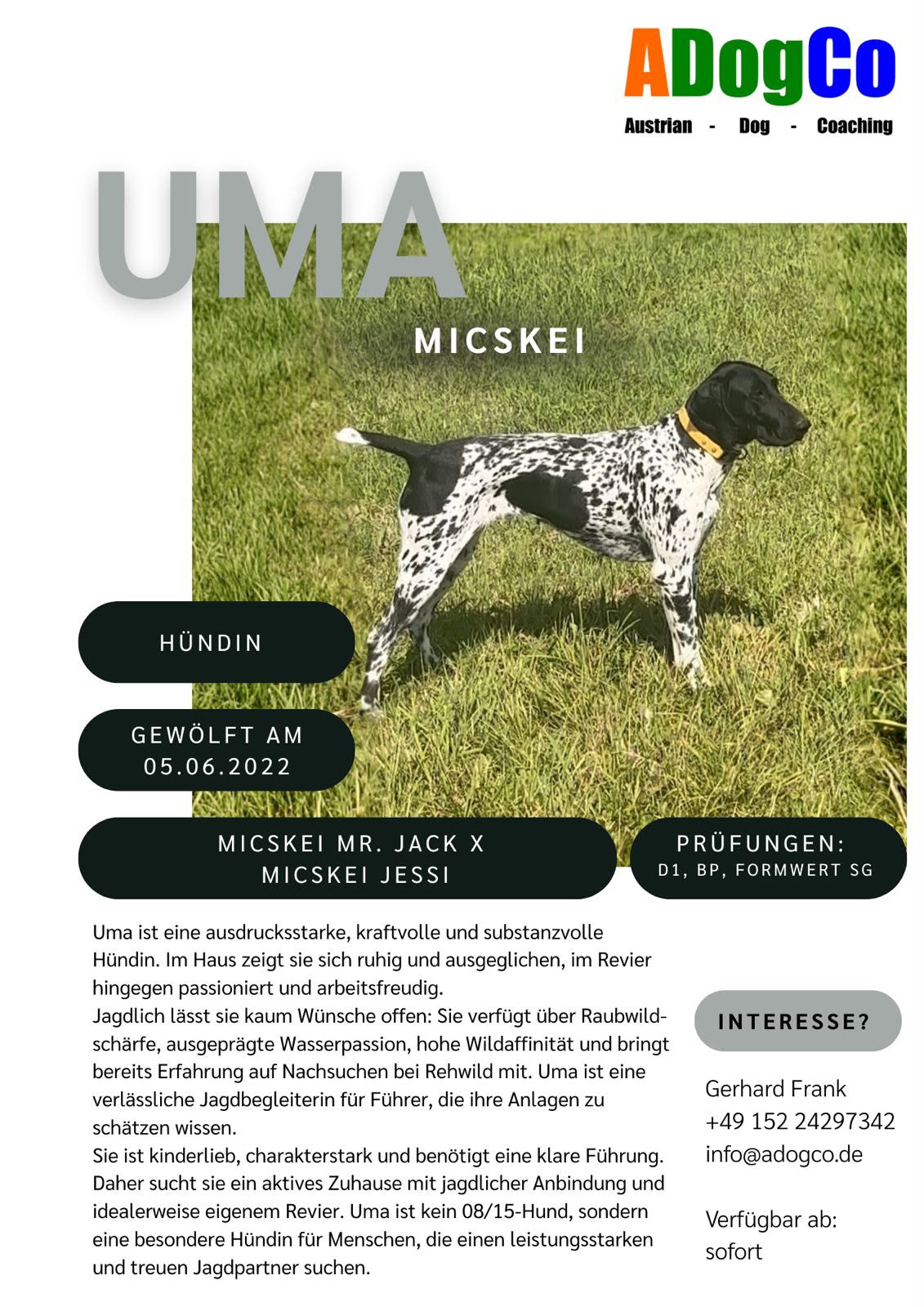 2026 Uma