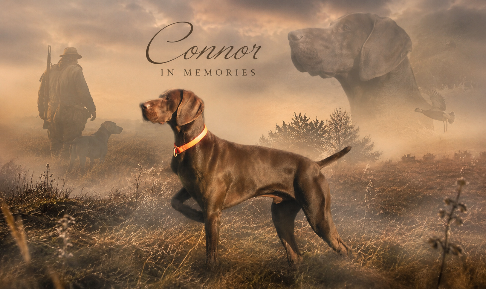 Connor_ in_Memories